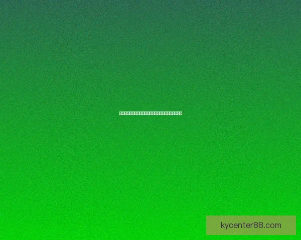 开云体育最新版下载指南详解助力用户畅享专业运动体验