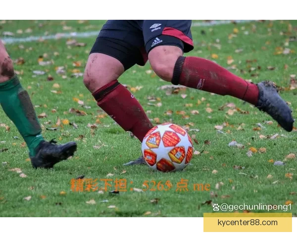 开云体育APP全面升级 体验更加流畅的体育赛事观看与互动功能